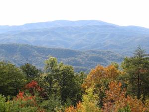 smokies 020